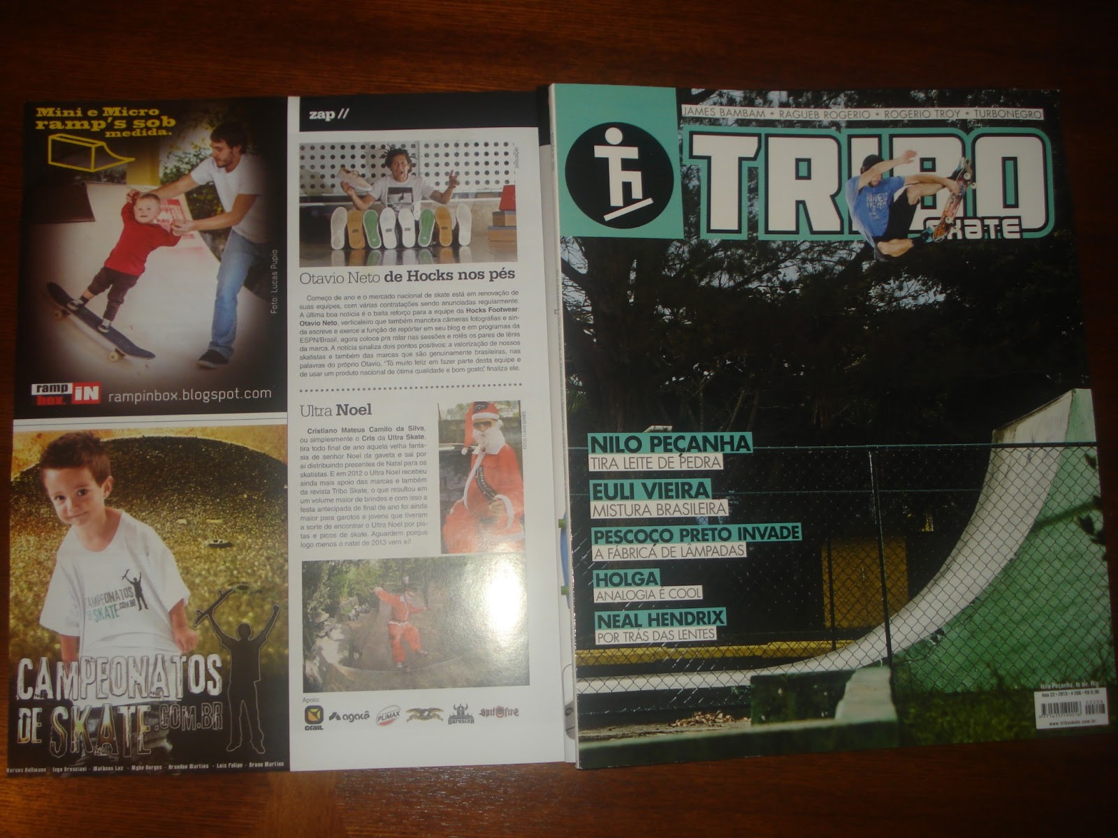 Campanha R.I.B. Fev. 2013 - Revista Tribo Skate - Edição 208